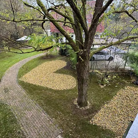 Klimaanlage, 5 Sterne Bahnhoftraum, 333 Qm, 1200qm Garten, Virtueller Rundgang, Dachterrasse, Whirlpoolbadewanne Braunfels