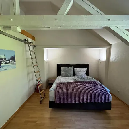 Willa Klimaanlage, 5 Sterne Bahnhoftraum, 333 Qm, 1200qm Garten, Virtueller Rundgang, Dachterrasse, Whirlpoolbadewanne Braunfels