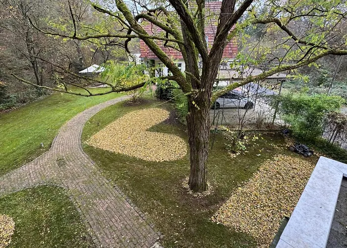 Klimaanlage, 5 Sterne Bahnhoftraum, Neu Zubuchbares Event, 333 Qm, 1200qm Garten, Virtueller Rundgang, Dachterrasse, Whirlpoolbadewanne Braunfels